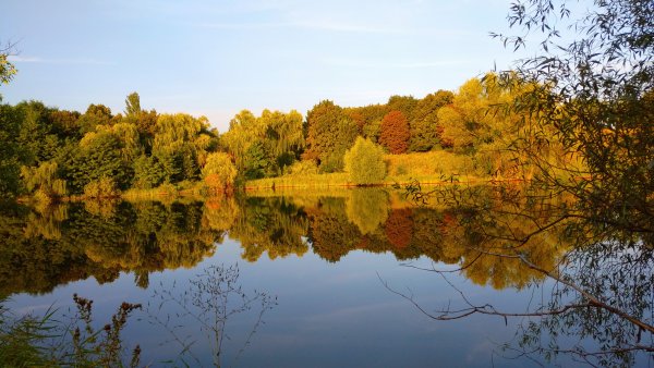 Фотовыставка осень