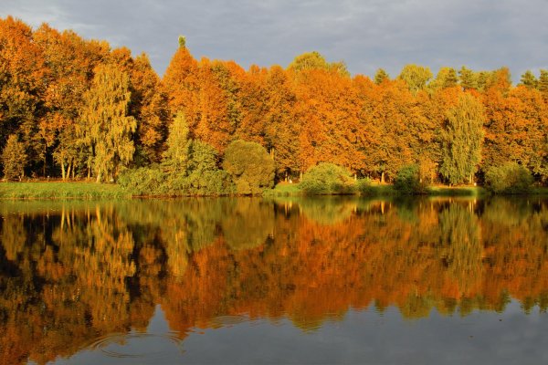 Осенний сюжет