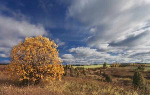 Красивое озеро в Ленинградской области осень