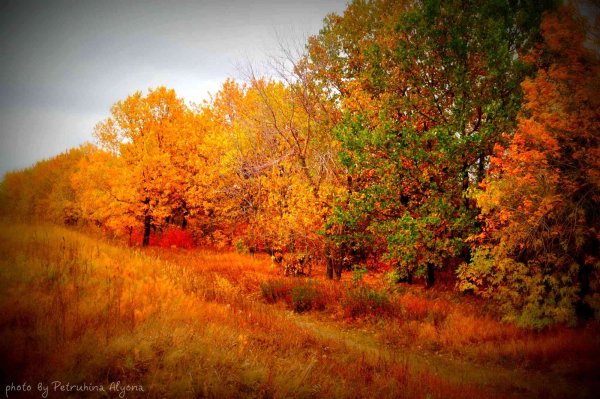 Золотая осень Марий Эл