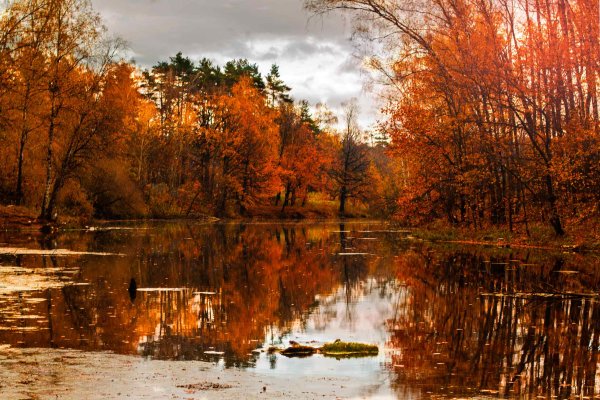 Березовая речка Алтайский край