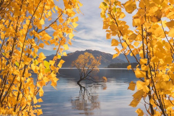 Золотая осень в лесу