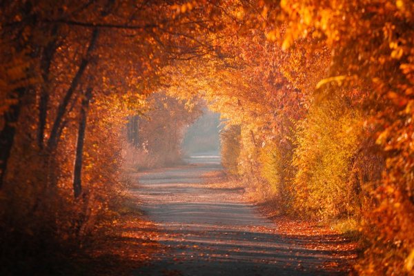 Осенний пейзаж