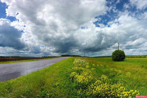 Июньский пейзаж
