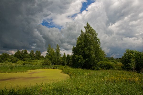 Среднерусский пейзаж