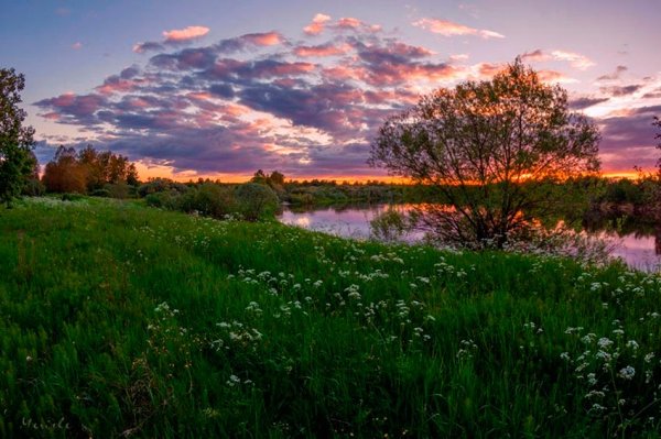 Июньский пейзаж