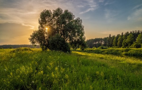 Июньский вечер
