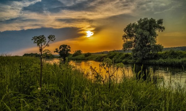 Июньский вечер