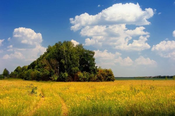 Пейзаж лета