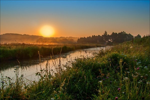 Июньское утро