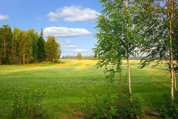 Дэлбэрийбит Алаас