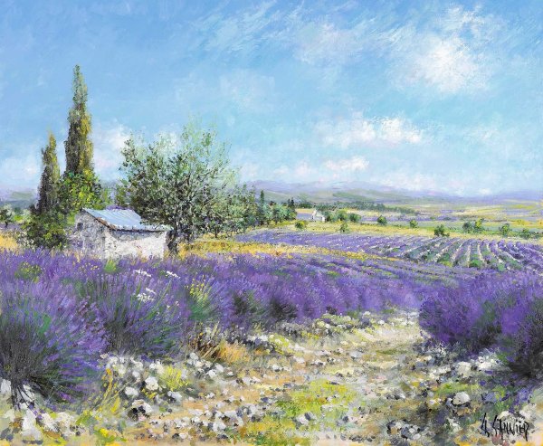 Daniel Sannier картины Прованс