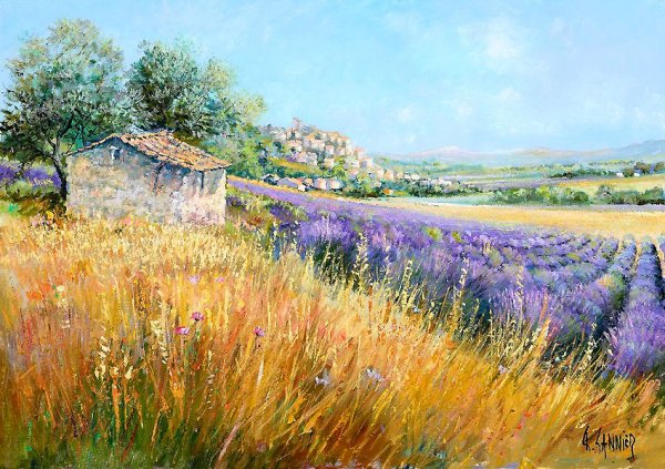 Daniel Sannier картины