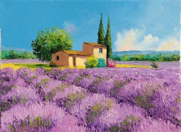 Жан Марк Янячик Лавандовое поле