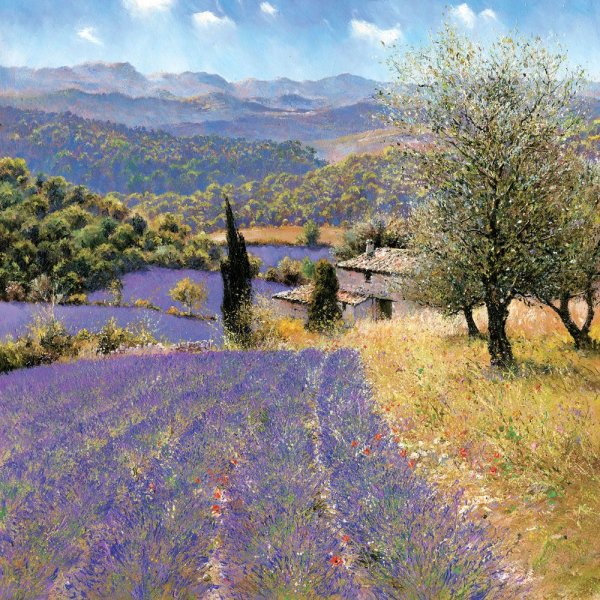 Тоскана прованский пейзаж