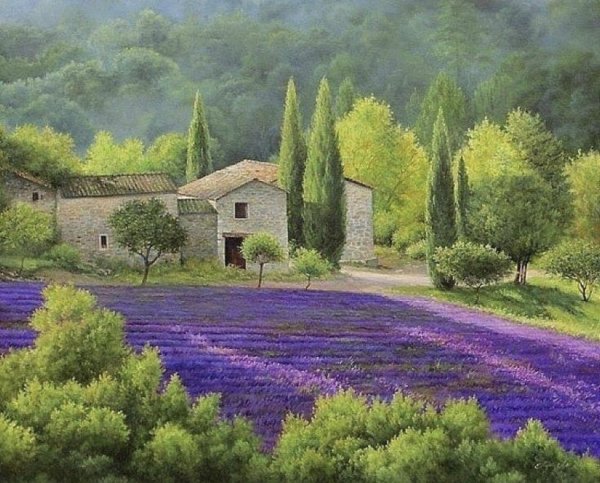 Тоскана прованский пейзаж