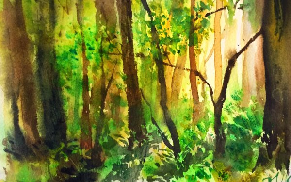 Лес акварелью