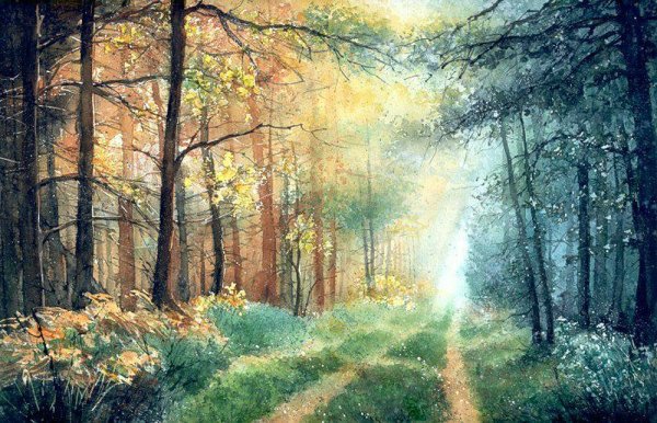 Деревья в тумане акварелью