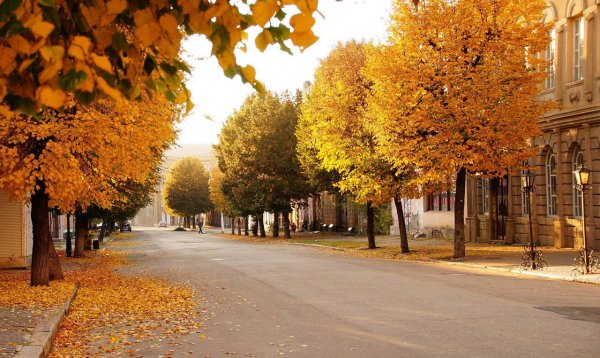 Осень в городе Луганск