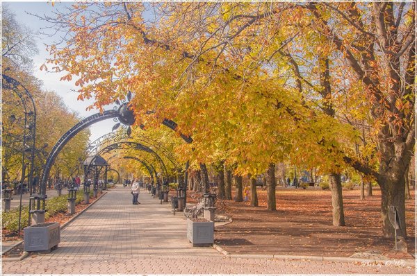 Осенний Донецк