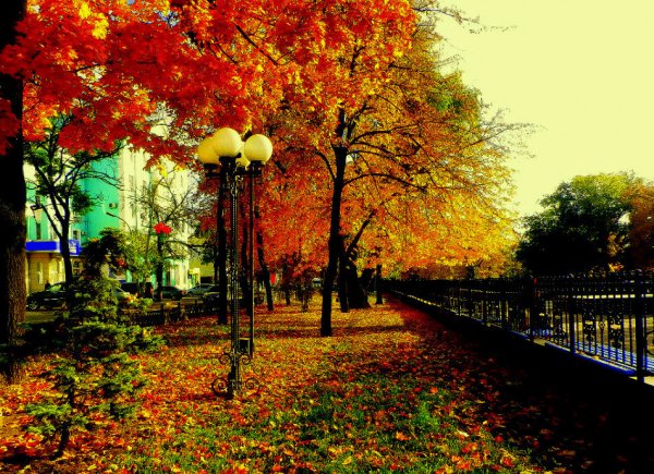 Луганск осень