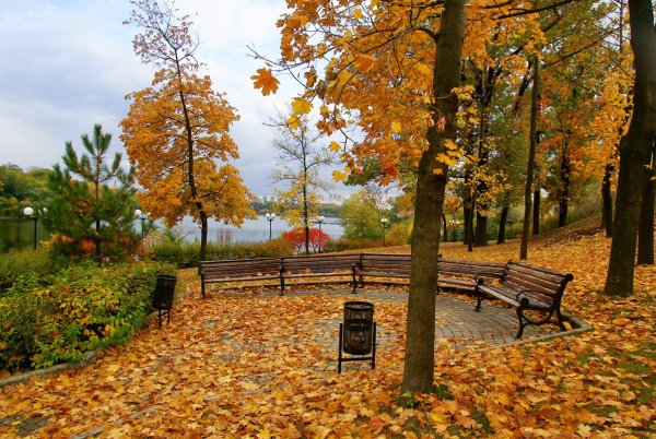 Химки осенью