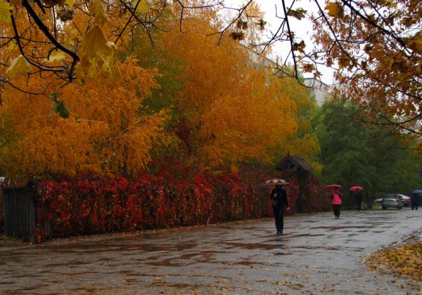 Осенняя Макеевка