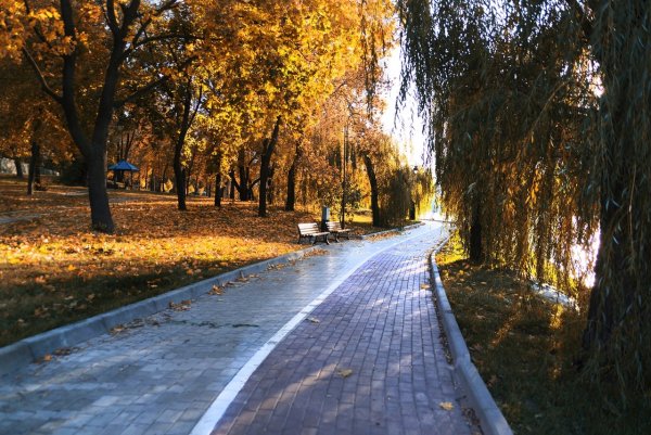 Осенний Донецк