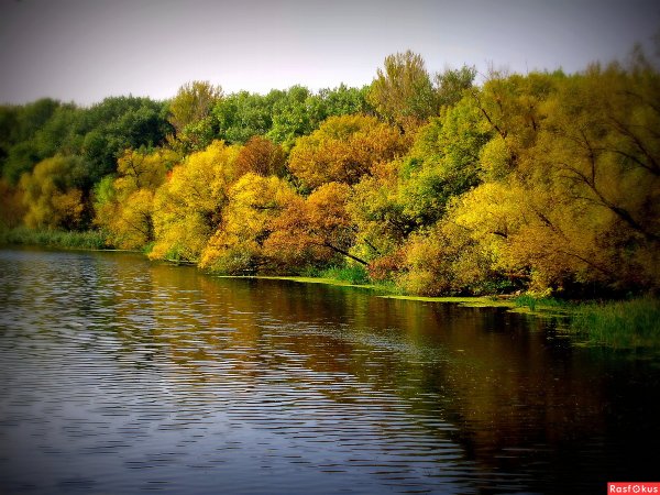 Картинная галерея Илья Семёнович Остроухов Золотая осень