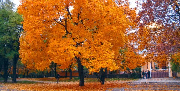 Город Луганск Украина