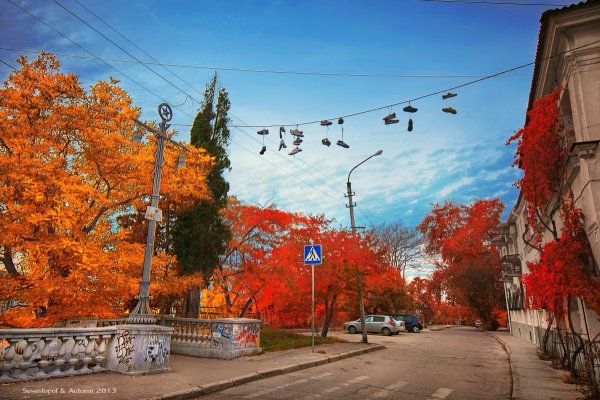 Тольятти осенью парк