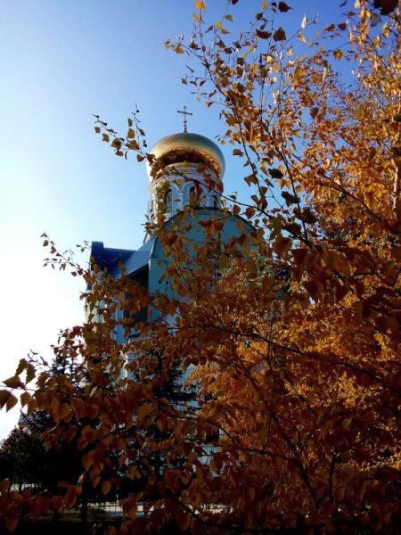 Природа Донбасса