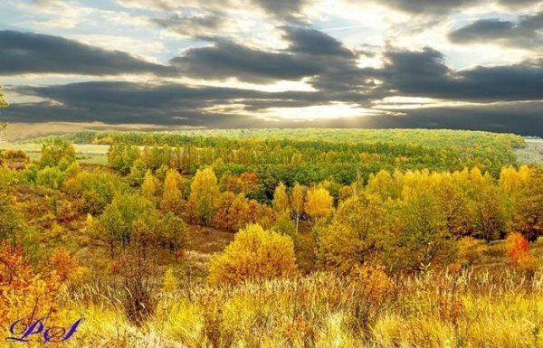 Тамбов храм осень