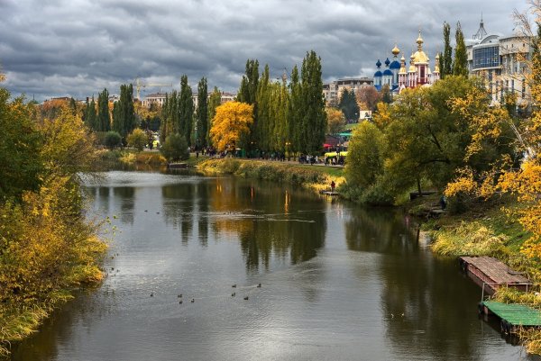 Александр Былич. Золотой парк