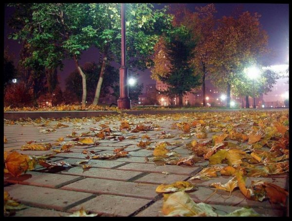 Золотая осень в Ростове на Дону