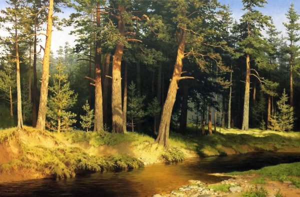 Сосновый Бор Булаков Александр