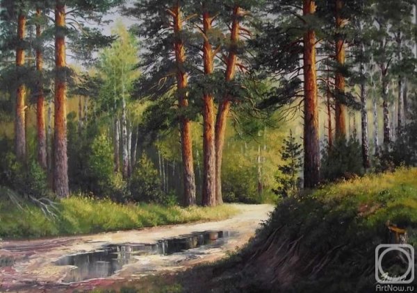Геннадий Янулевич Сосновый лес