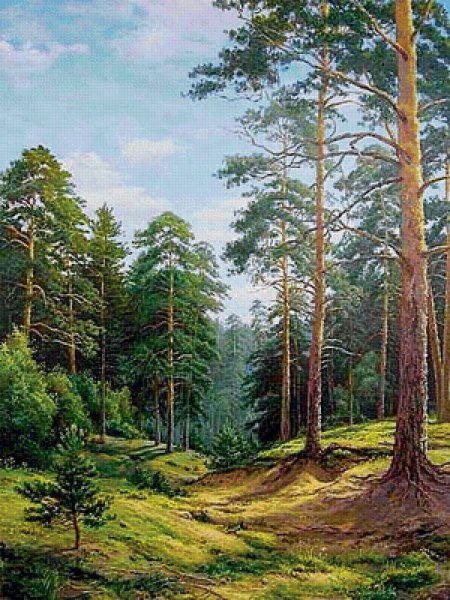 И.И. Шишкин "Сосновый Бор" картина пейзаж