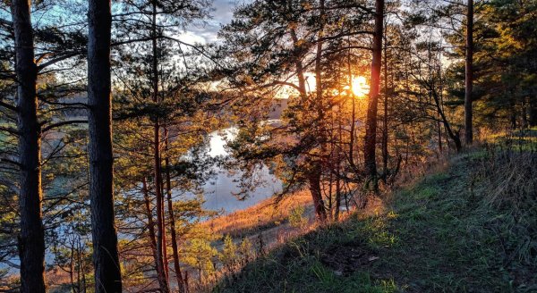 Рассвет озеро Сосновый Бор