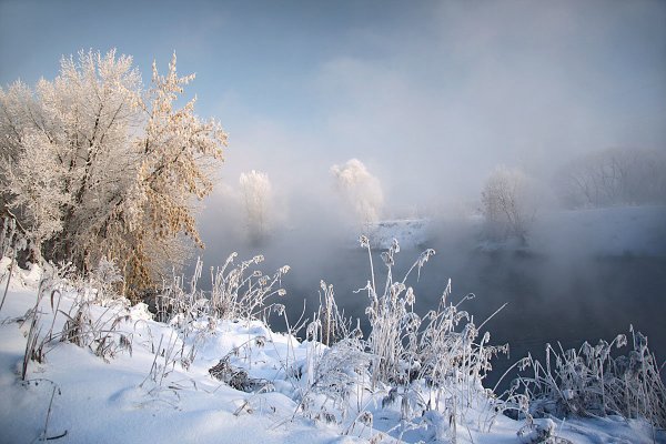 Морозное утро в лесу