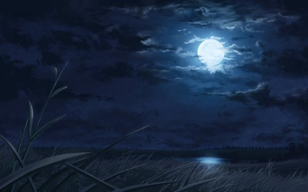 Ночное поле