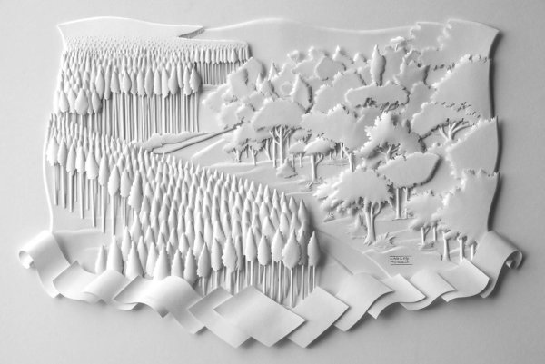 Бумажные картины Карлоса Мейра