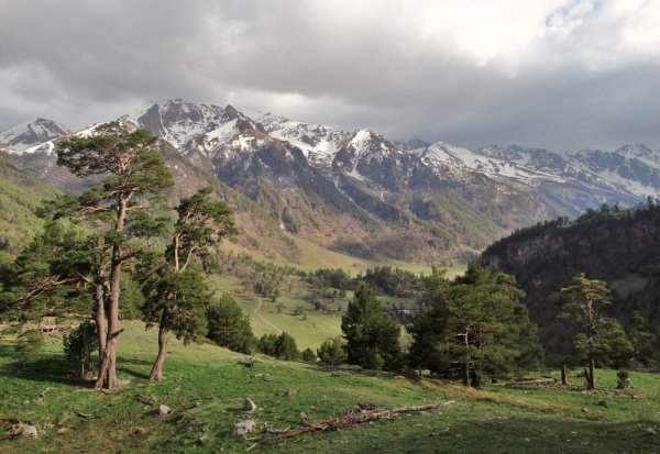 Предгорья Кавказа в Кахетии