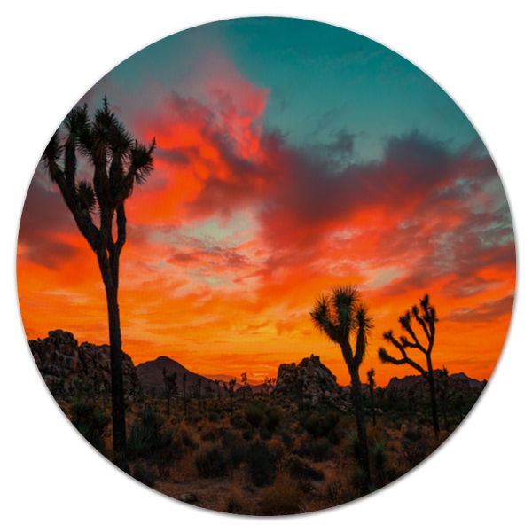 Круглые пейзажи