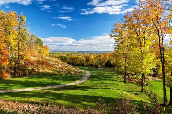 Пейзаж ранняя осень