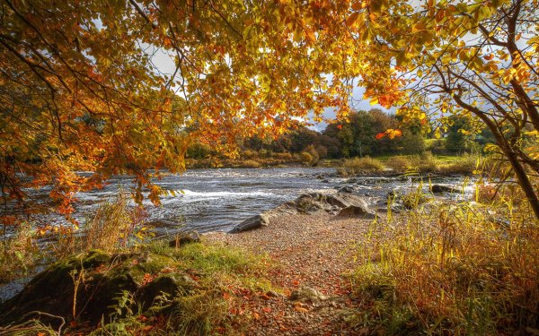Река осенью
