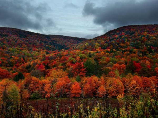 Штат Кентукки природа