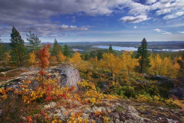 Мурманск природа Кольский полуостров