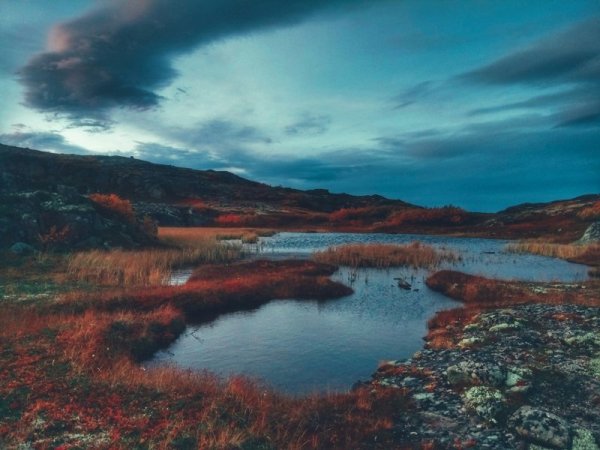 Северная природа Мурманская область