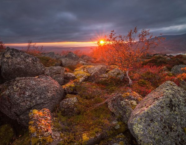 Мурманск природа Кольский полуостров